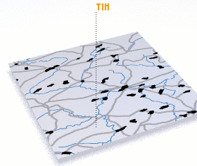 3d view of Tim