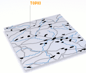 3d view of (( Topki ))