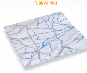 3d view of Ţubayjīyah