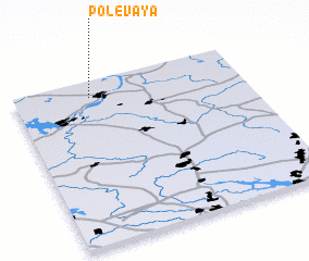 3d view of Polevaya