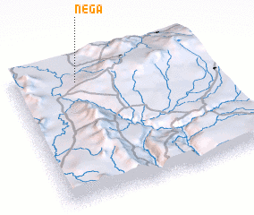 3d view of Nega