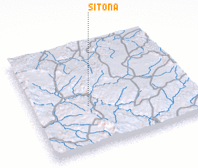 3d view of Sitona