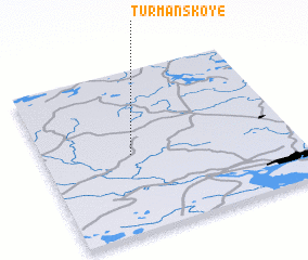 3d view of Turmanskoye