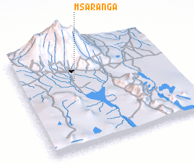 3d view of Msaranga