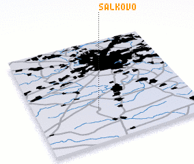 3d view of Sal\