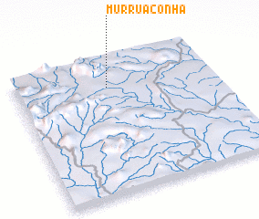 3d view of Murruaconha