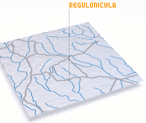 3d view of Régulo Nicula