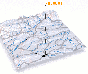 3d view of Akbulut