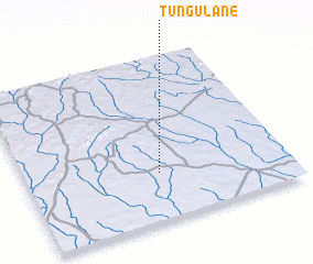 3d view of Tungulane