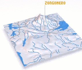 3d view of Zongomero