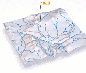 3d view of Mojo