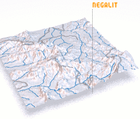 3d view of Negalit