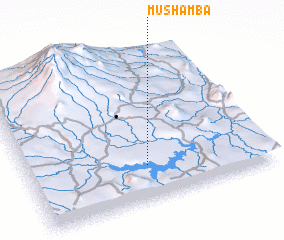 3d view of Mushamba