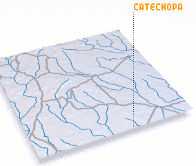 3d view of Catechopa
