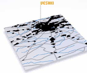 3d view of Veshki