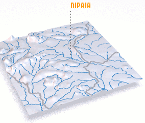 3d view of Nipaia