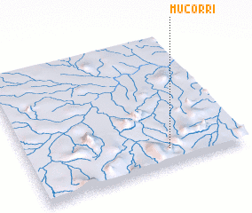 3d view of Mucorri