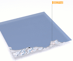 3d view of Buhari