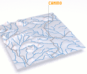 3d view of Camino