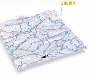 3d view of Salkım