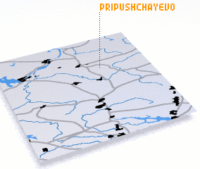 3d view of Pripushchayevo