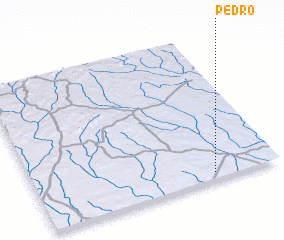 3d view of Pedro