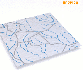 3d view of Merripa