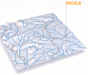 3d view of Rucula