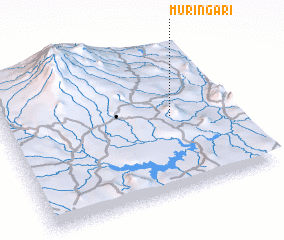 3d view of Muringari