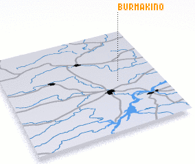 3d view of Burmakino