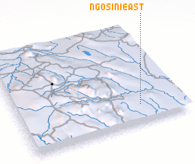 3d view of Ngosini East