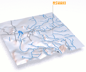 3d view of Mswaki