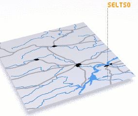 3d view of Sel\