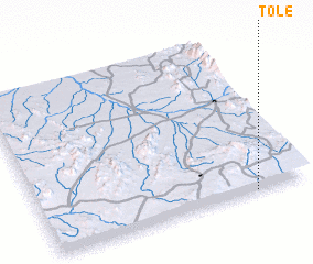 3d view of Tole