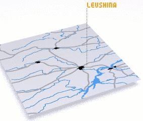 3d view of Leushina