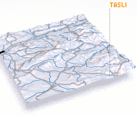 3d view of Taşlı