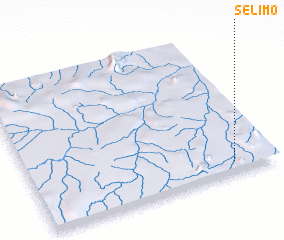 3d view of Selimo