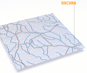 3d view of Nucuma