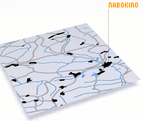 3d view of Nabokino