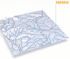 3d view of Naparia