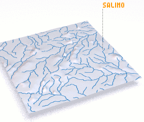 3d view of Salimo