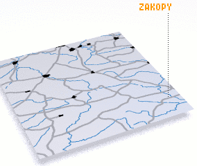 3d view of Zakopy