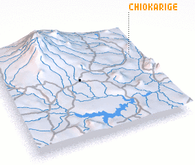 3d view of Chiokarige