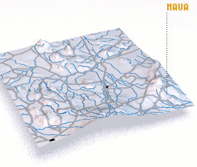 3d view of Maua