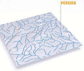 3d view of Pereira