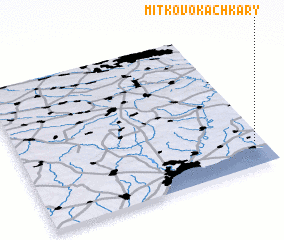 3d view of Mitʼkovo-Kachkary