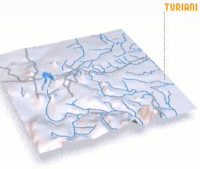 3d view of Turiani