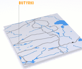 3d view of Butyrki