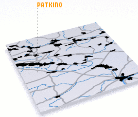 3d view of Patkino