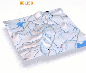 3d view of Welīso